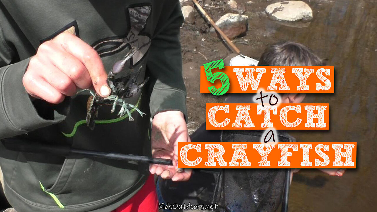 S2:E12 5 Ways to Catch a Crayfish | Kids Outdoors