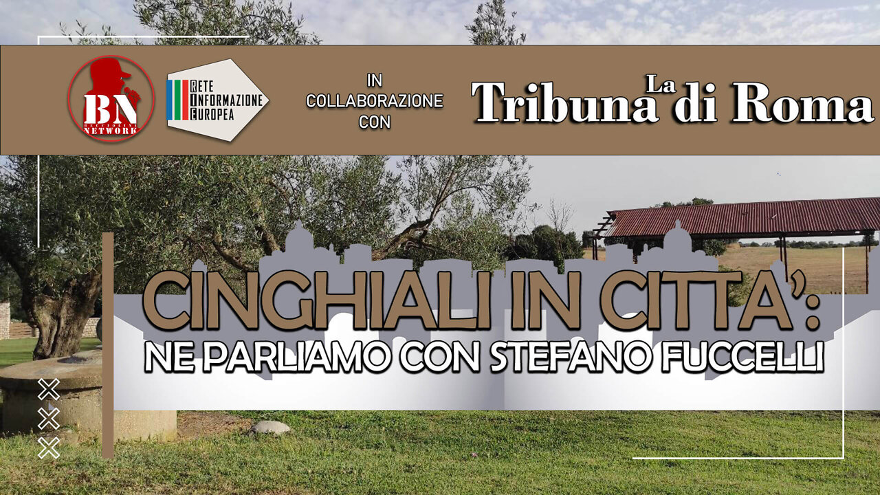 Cinghiali nelle città: ne parliamo con Stefano Fuccelli