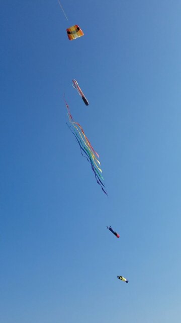 Kites in the sky