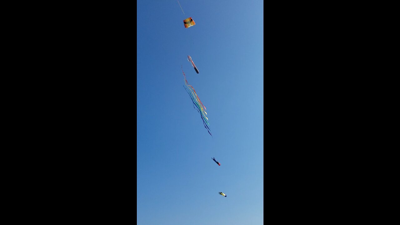 Kites in the sky