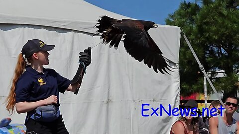 The Raptors Presentation at the Allan Brooks Nature Centre