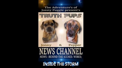 💥 TRUTH PUPS | Behind The Scenes News | Military Operations