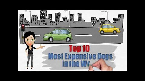 Top 10 Most Expensive Dogs in the World Listed by Topteny.com