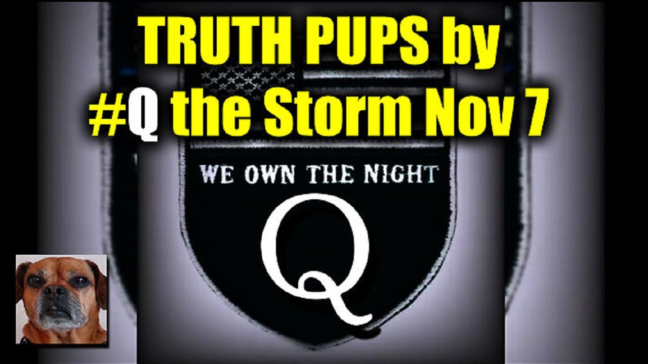 Truth Pups News > Trump Win Nov - Election What to Expect