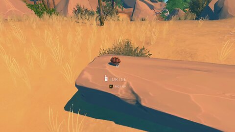 I found a turtle (Firewatch)