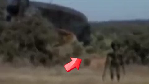 Sighting of saucer-shaped UFO and grey man in grassland! real or fake [Space]