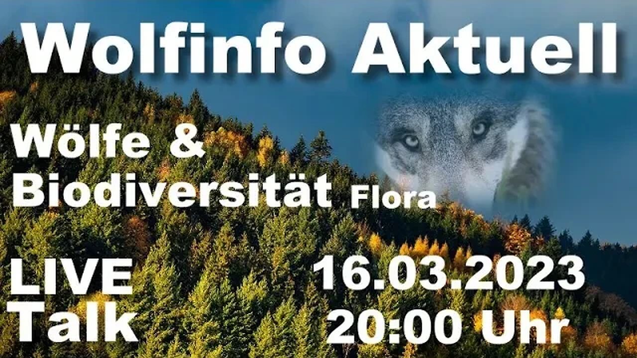 Wolfinfo Aktuell LIVE Talk 21 ( Wölfe und Biodiversität-Fauna )