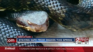 Staying safe as 'snake season' strikes in Oklahoma