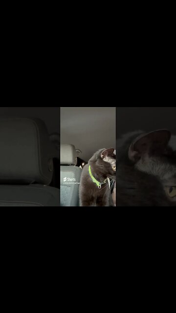 Somewhere in the SouthWest #shorts