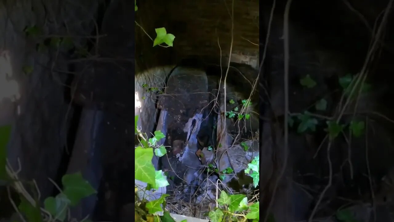 Exposed Coffins In Grave
