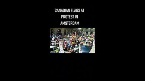 Holland #protest