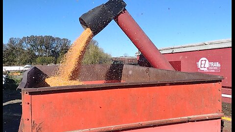 Grinding/blowing shelled corn into silo