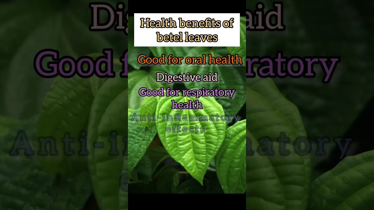 Benefits of betel (Paan) leaves| Magical leaves 🌿for health|Nutritionist online apple pie