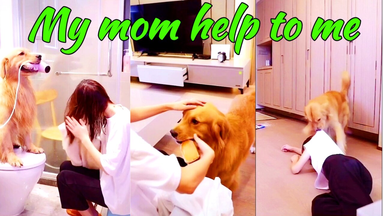 Mom! i can't live without you || Amazing dog help to her anytime loving video.