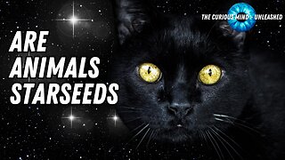 Are Animals Starseeds? Exploring the Cosmic Origins of Earth's Creatures!