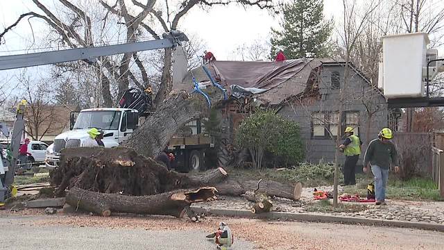 Tree falls onto Boise house