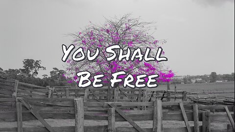 Endless Refrain - You Shall Be Free (Official Lyric Video)