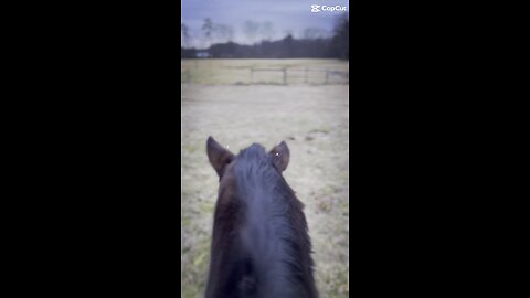 Riding