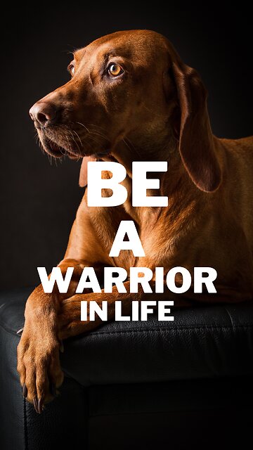 Surviving Pain: Embrace Challenges and Rise Above