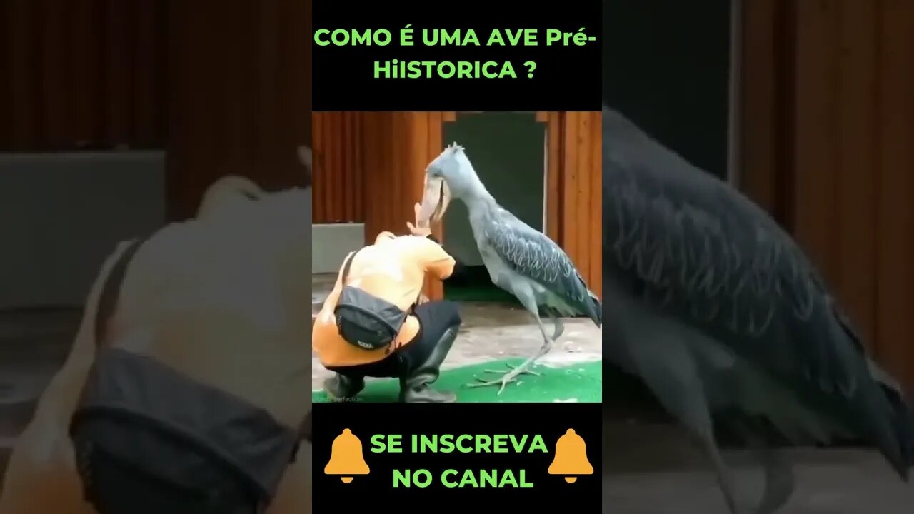 COMO É UMA AVE Pré-histórica? #shorts