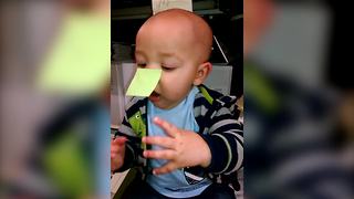 "A Baby Boy Has A Post-It Note on His Nose, But Can’t Reach It"