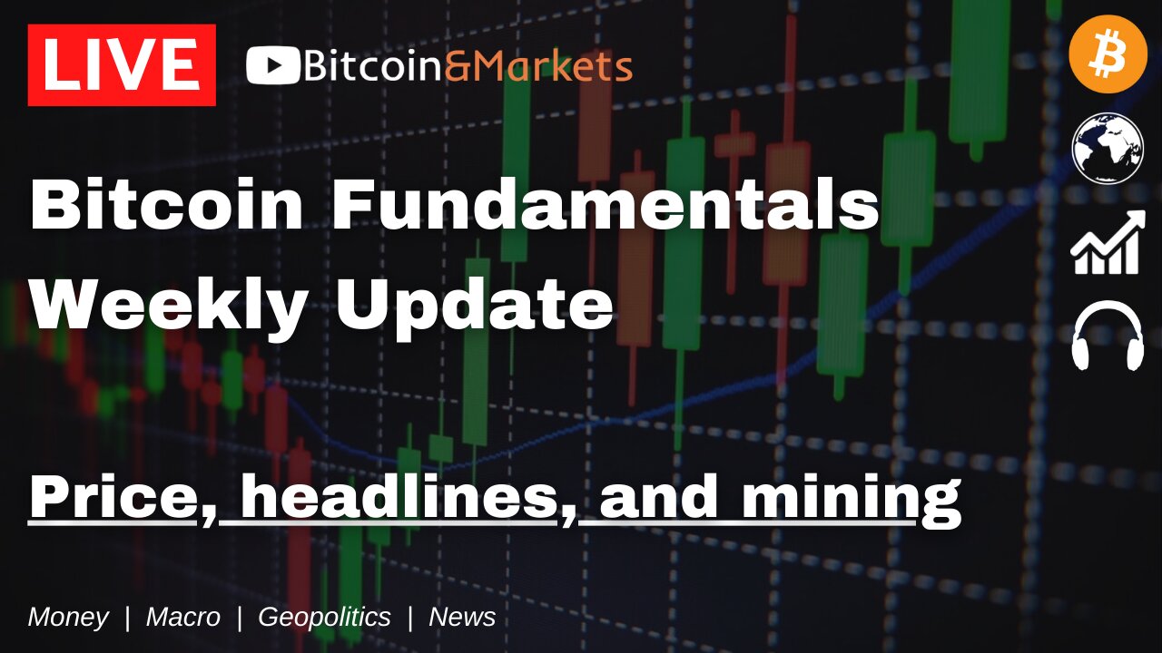 #Bitcoin Fundamentals Report Live Stream