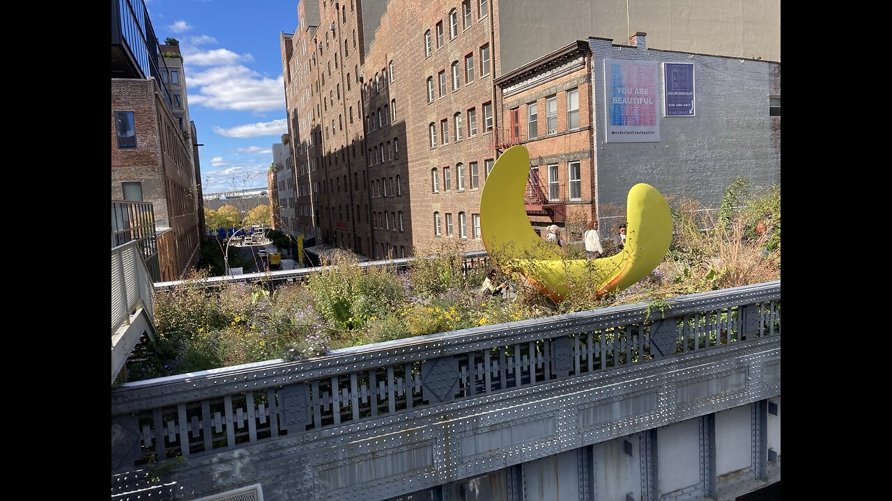 Walking Manhattan: High Line Park & Chelsea