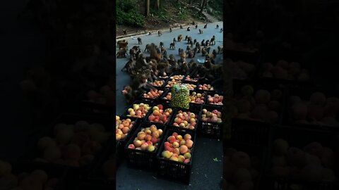 In life, if you can be whatever you want, be kind!