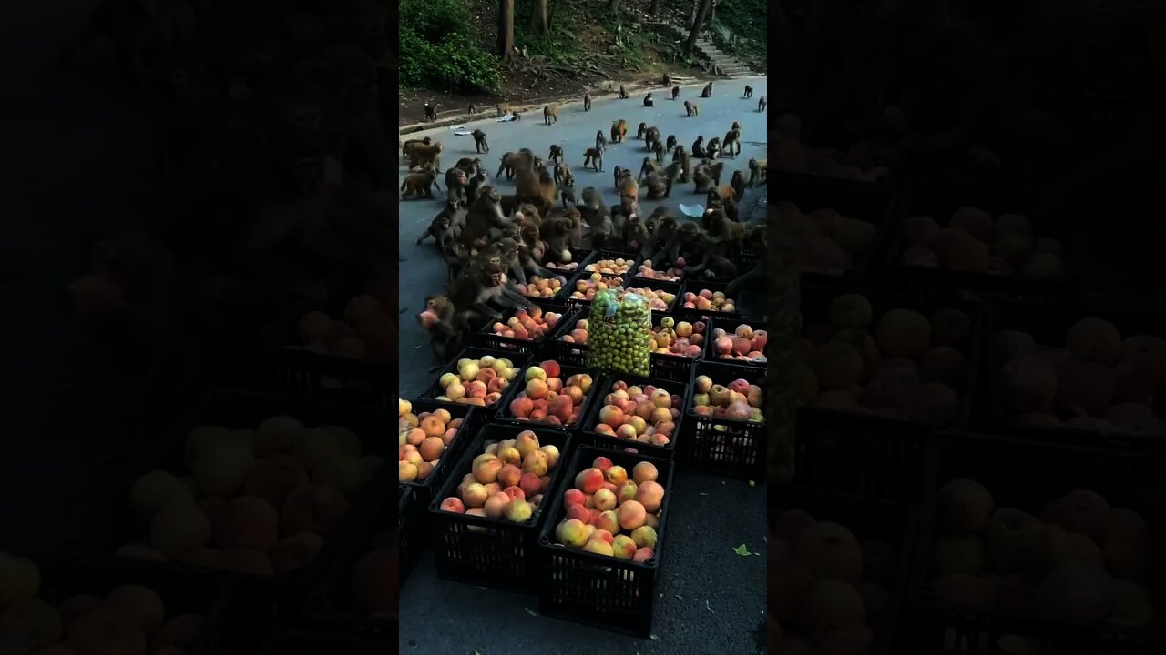 In life, if you can be whatever you want, be kind!