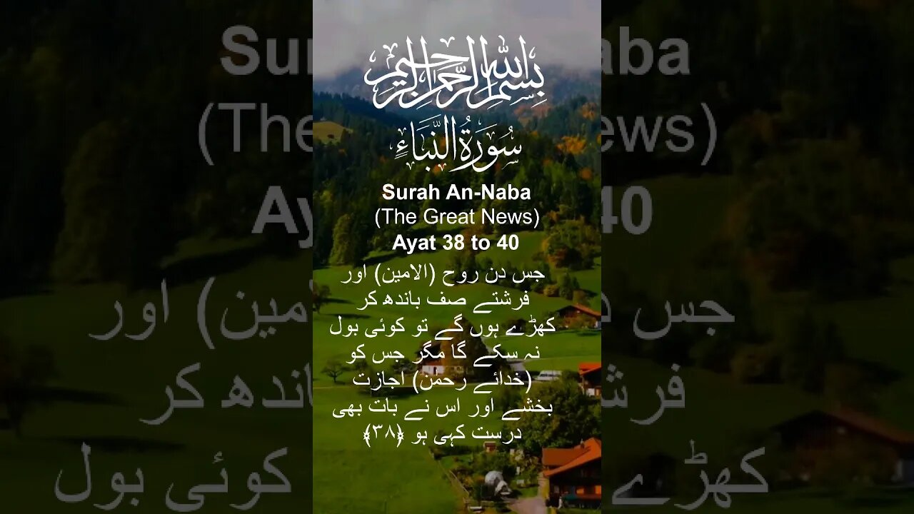 Surah An Naba in Urdu Translation Ayat38to40#youtube#youtubeshorts#ytshorts#viral#shorts#quran#short