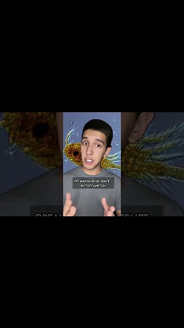 На сколько лет осталось кислорода? #shorts