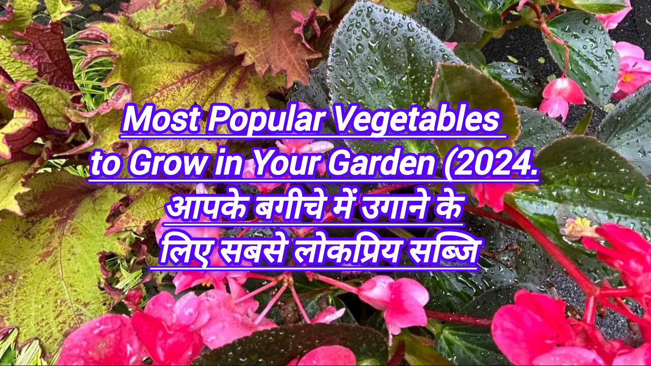 Most Popular Vegetables to Grow in Your Garden (2024.आपके बगीचे में उगाने के लिए सबसे लोकप्रिय सब्जि