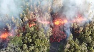 Lava fuoriesce da una fessura alle Hawaii