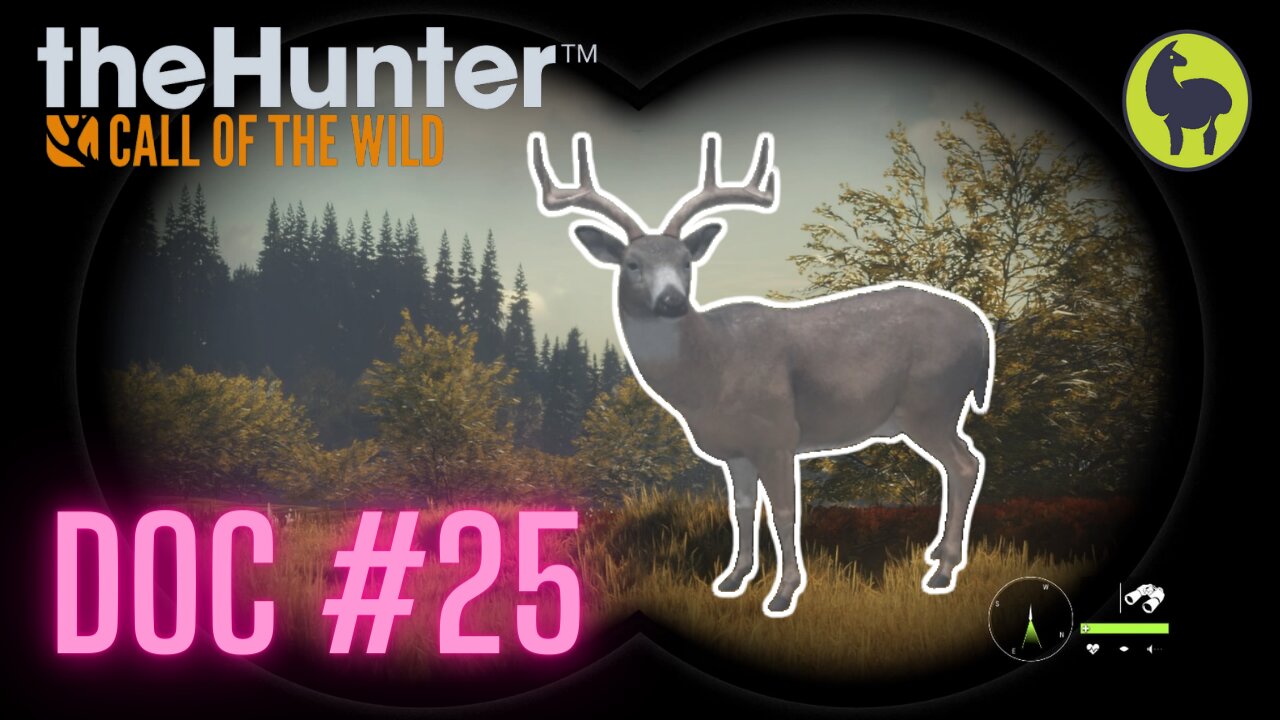 The Hunter: Call of the Wild, Doc #25