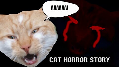 Cat Horror Story