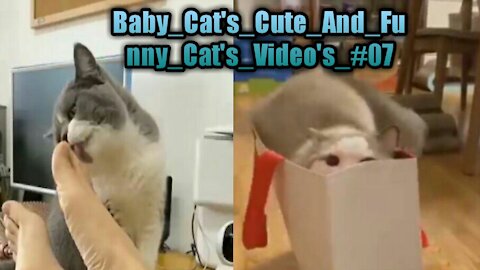 Baby_Cat's_Cute_And_Funny_Cat's_Video's_#07