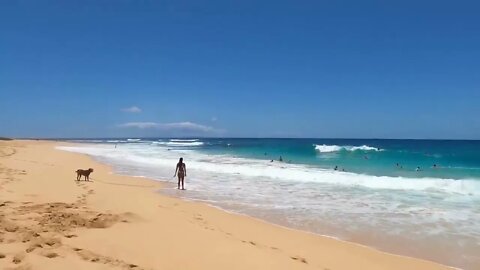 [4K] HAWAII - SANDY BEACH - Hawaii's most dangerous beach - located 12 miles east of WAIKIKI-8