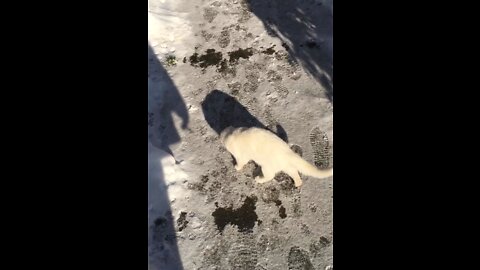 Playing in the snow