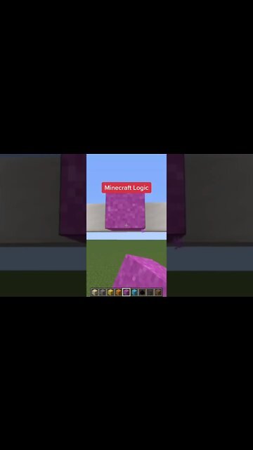 Minecraft #tiktok #Shorts