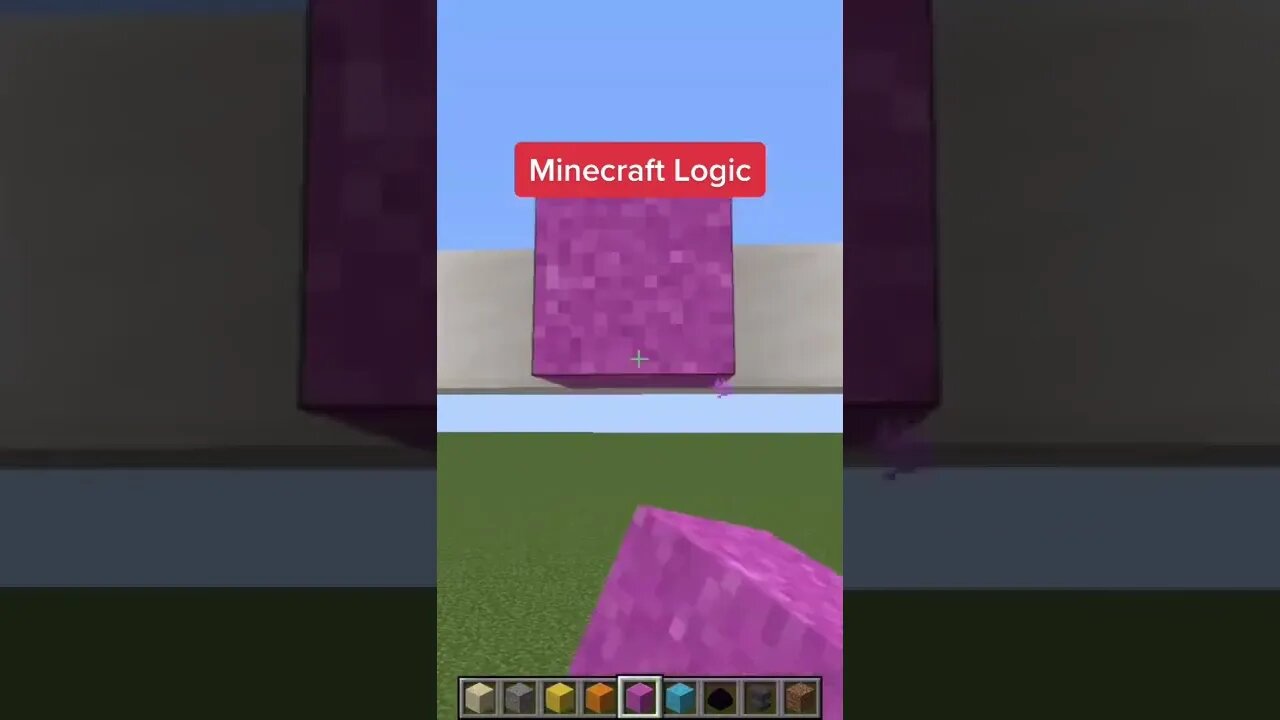 Minecraft #tiktok #Shorts