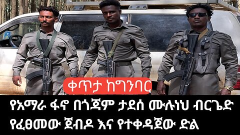 የአማራ ፋኖ በጎጃም ታደሰ ሙሉነህ ብርጌድ የተሰራው ጀብድ