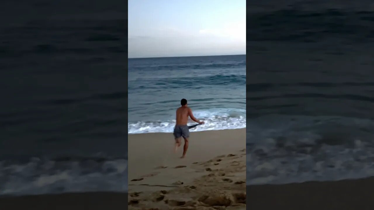 1 Wave VS. 1 Skimboarder