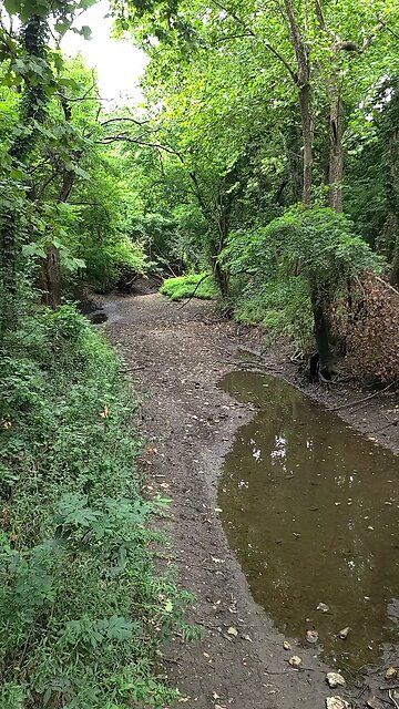 A Walk in the Park III