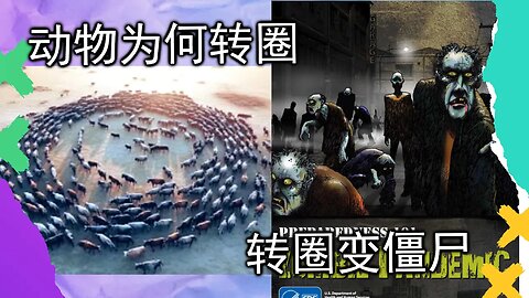 动物转圈，美国CDC出应对僵尸指南，竟是僵尸灾难的前兆？