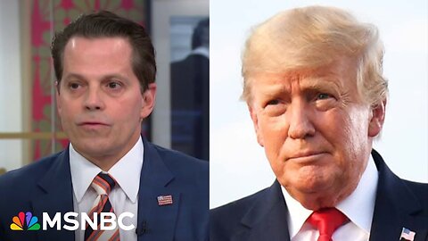 Anthony Scaramucci: Trump will hurt anybody, anything in his way