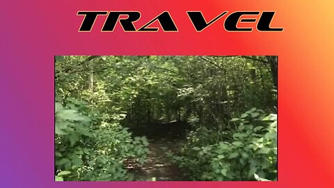hiking in the forest come and explore this amazing forest perfect for making a film #hiking