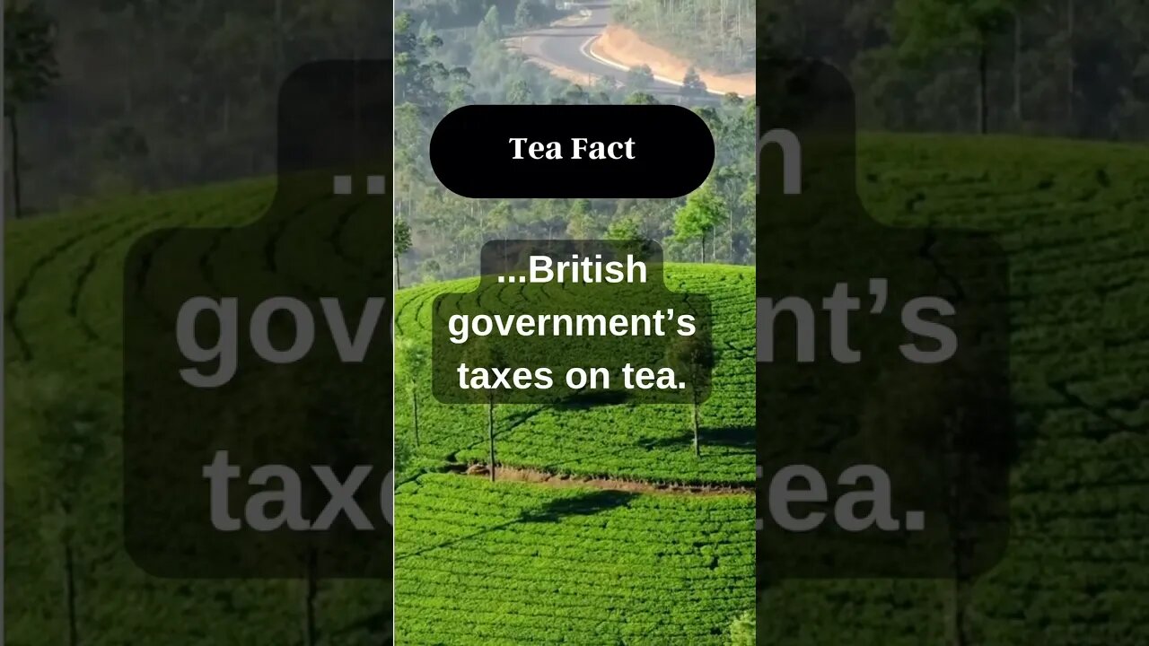 Do you concur with what is being said? Please respond with your ideas. 👉#short #tea
