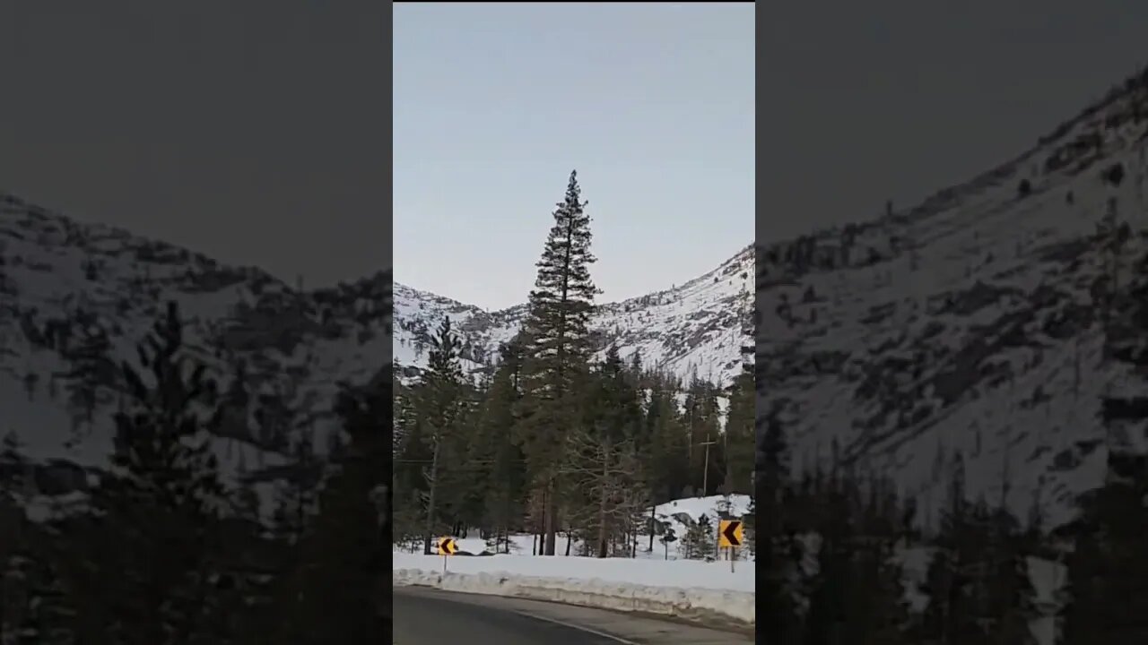 Sierra Nevada | U.S. HWY 50