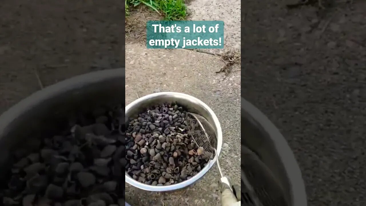 That's A Lot Of Empty Jackets!