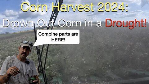 Corn Harvest 2024: Drown out corn in a Drought, And Combine parts are finally here.